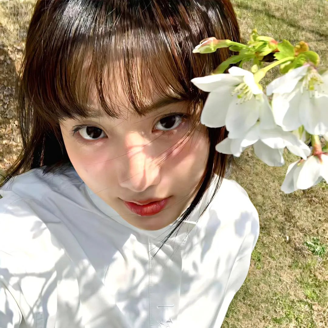 红衣少女封面