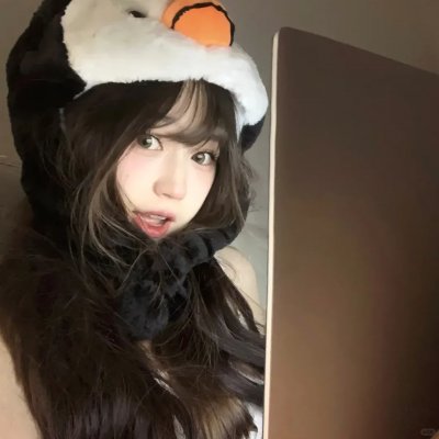 双狼封面